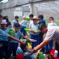 Kegiatan Outdoor Study Kelas VI SD Metta Maitreya ke KebunKita Pekanbaru | SD METTA MAITREYA
